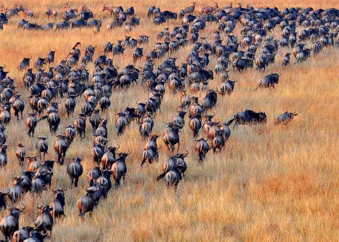 Personalized journeys — small group or private